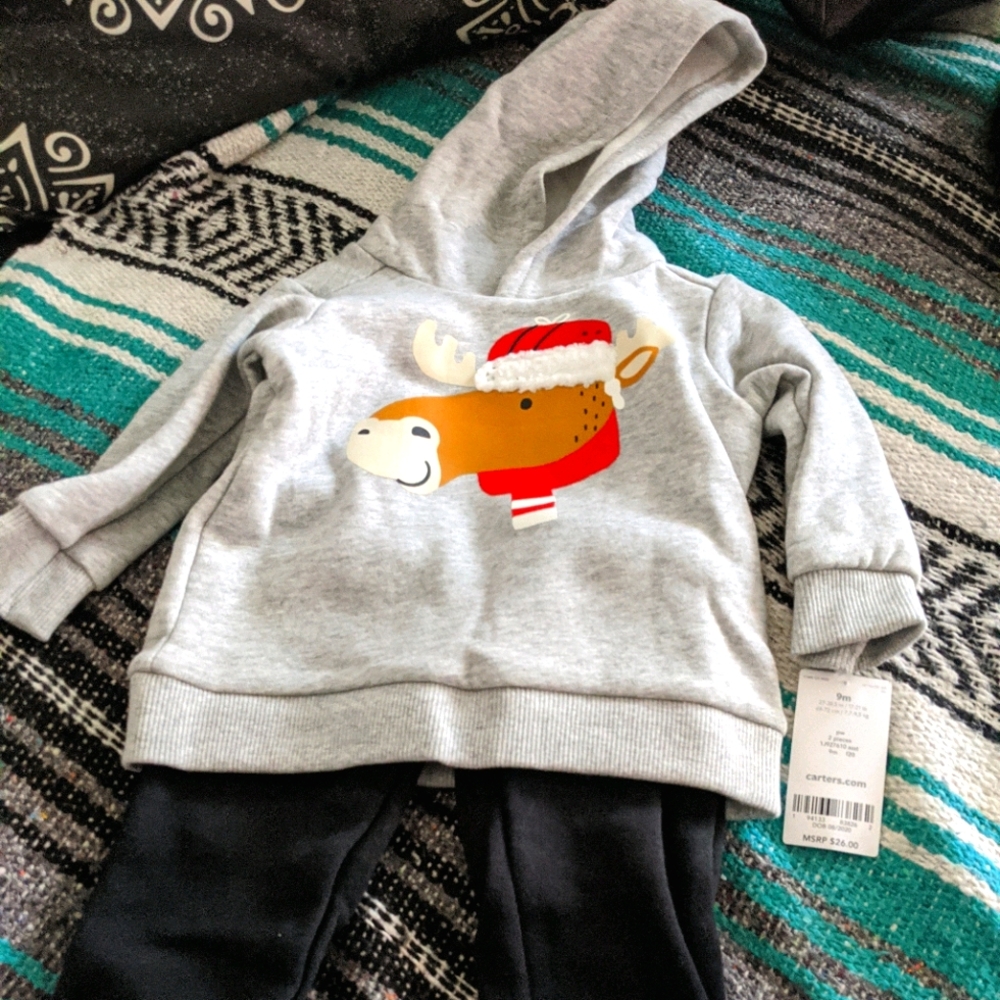 Carter's hooded sweatshirt and sweatpants set 9M